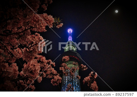 月下的天空樹和夜晚的櫻花 月下的天空樹和夜晚的櫻花 89237597