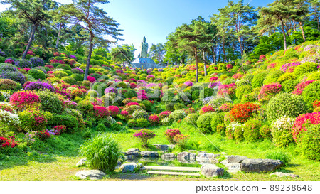Heiwa Kannon Statue and Azalea Garden (16: 9) 89238648
