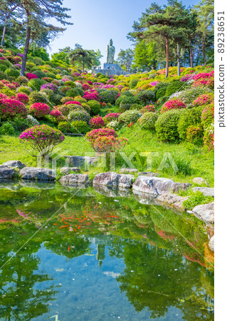 Heiwa Kannon, a pond and an azalea garden (vertical) Heiwa Kannon, a pond and an azalea garden (vertical) 89238651