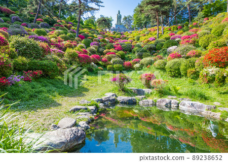 Heiwa Kannon, a pond and an azalea garden Heiwa Kannon, a pond and an azalea garden 89238652