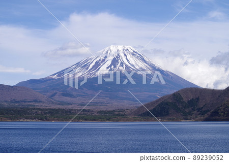 Mt. Fuji on the shore of a lake where snow remains Mt. Fuji on the shore of a lake where snow remains 89239052
