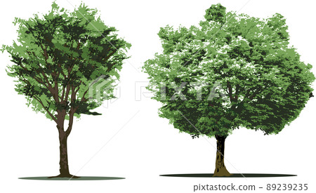 Tree tree set Tree tree set 89239235