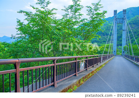 赤金水上樂園 銅橋 自然環境再生 初夏風光 89239241