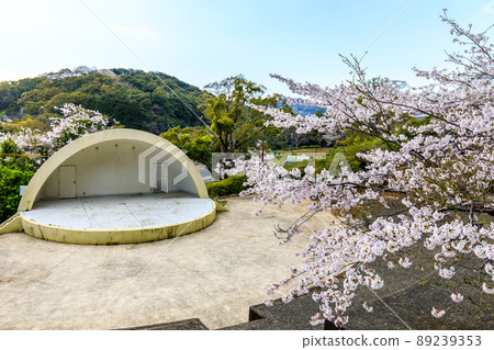 稻佐山公園的櫻花[長崎縣長崎市] 89239353