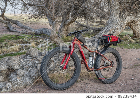 fat mountain bike in Colorado prairie fat mountain bike in Colorado prairie 89239434