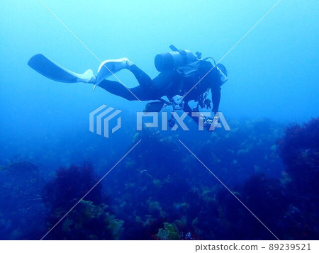 Divers diving in Izu Oshima 89239521