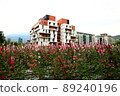 Hollyhocks, safflowers, flowers 89240196