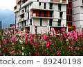 Hollyhocks, safflowers, flowers 89240198