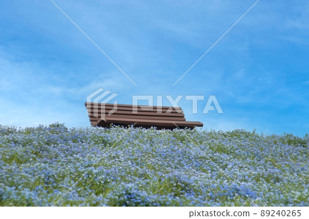 Nemophila Hill 89240265