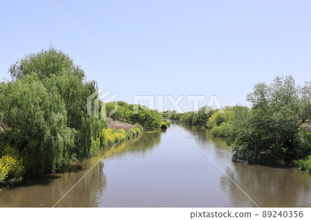 Landscape of the retarding basin Landscape of the retarding basin 89240356