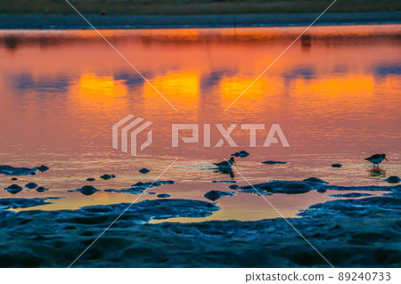 Gamo Tidal Flat at sunrise (Sendai City, Miyagi Prefecture) Gamo Tidal Flat at sunrise (Sendai City, Miyagi Prefecture) 89240733