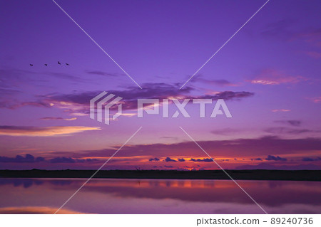 Gamo Tidal Flat at sunrise (Sendai City, Miyagi Prefecture) Gamo Tidal Flat at sunrise (Sendai City, Miyagi Prefecture) 89240736