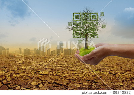 Hands holding dead tree shaped like qrcore in the dry forest and city background. Technology , Business and Nature Concept. Hands holding dead tree shaped like qrcore in the dry forest and city background. Technology , Business and Nature Concept. 89240822