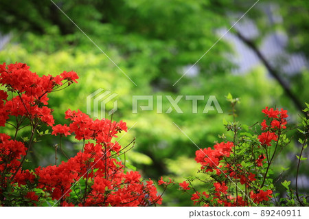 Temple scenery, spring scenery, Gakwonsa Temple Temple scenery, spring scenery, Gakwonsa Temple 89240911
