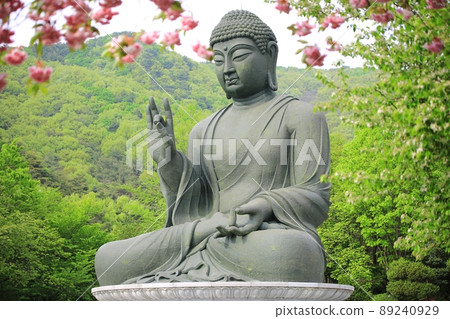 Temple scenery, spring scenery, Gakwonsa Temple 89240929