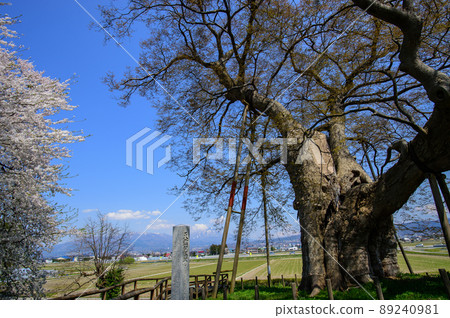 Spring Takase Oki and Aizu Bandaiyama Fukushima Prefecture 89240981