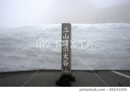 Murodo Hirateyama Snow Corridor 89241040