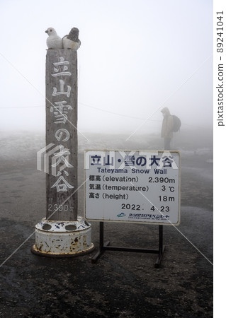 Murodo Hirateyama Snow Corridor Murodo Hirateyama Snow Corridor 89241041