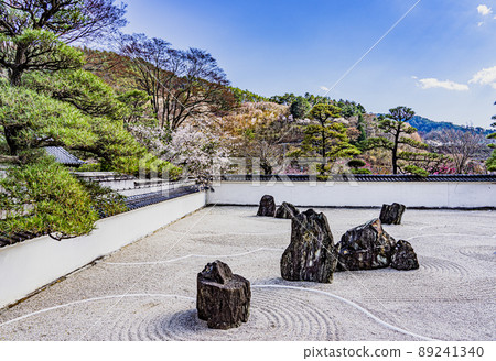 Spring Kozenji stone garden 89241340