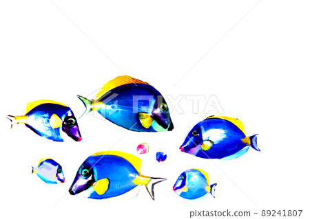 Tropical fish 89241807