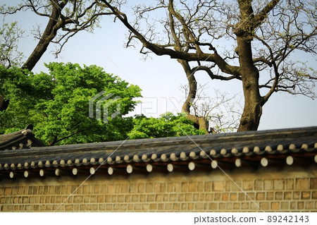 昌德宮,春天的風景,文化遺產 昌德宮,春天的風景,文化遺產 89242143