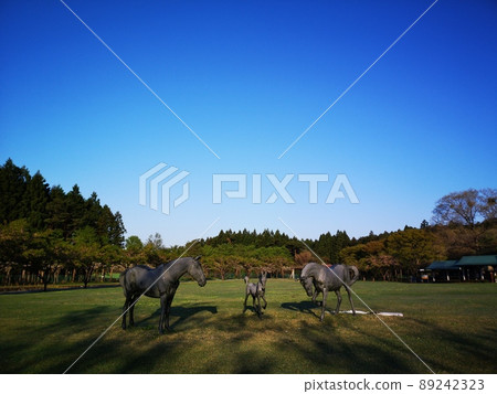 Roadside Station Misawakure Horse Park 89242323