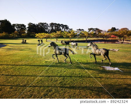 Roadside Station Misawakure Horse Park 89242324