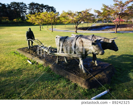 Roadside Station Misawakure Horse Park 89242325