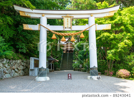Hodogayama神社鳥居 89243041