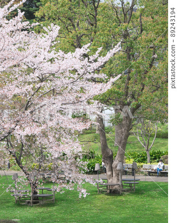 春天的六本木 春天的六本木 89243194