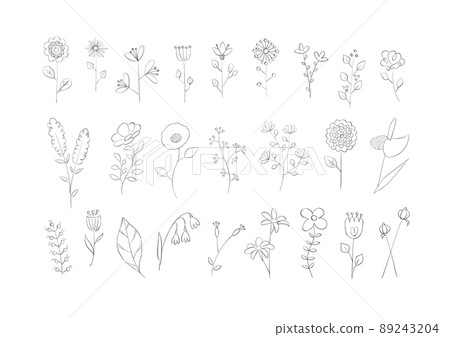 Flower / plant pencil sketch Flower / plant pencil sketch 89243204