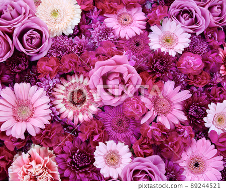 足利市足利花卉公園花手 89244521