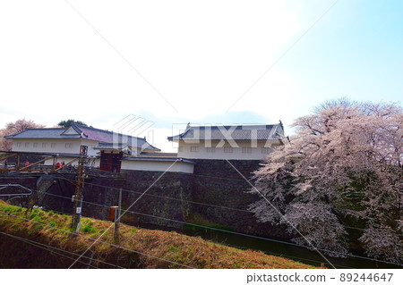 Sakura Sakura Sakura Kajo Park Sakura Sakura Sakura Kajo Park 89244647
