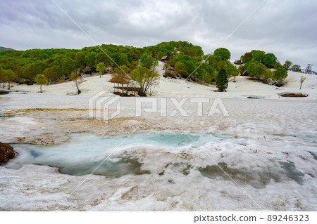 The thawed blue water that appeared on the snow and the fresh green mountains that can be seen in the distance 89246323