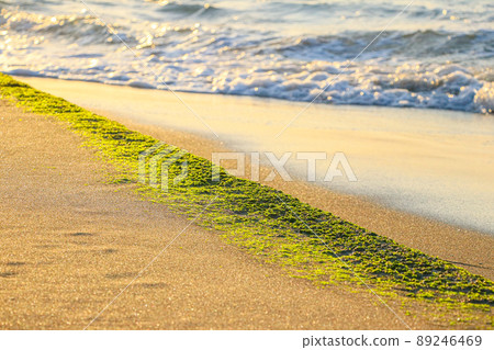 Sendai Port Coast (Sendai City, Miyagi Prefecture) where the Nanakita River pours Sendai Port Coast (Sendai City, Miyagi Prefecture) where the Nanakita River pours 89246469