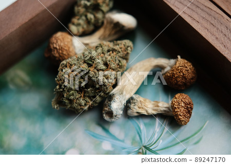 Natural recreational drugs concept. Dry cannabis buds with psilocybin mushrooms in wooden craft box 89247170