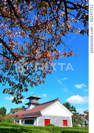 新潟市海關(新潟市) 新潟市海關(新潟市) 89247251