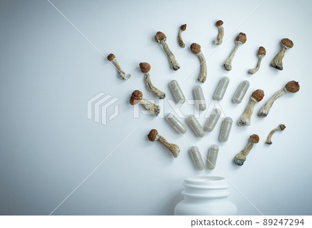 Micro dosing concept. Dry psilocybin mushrooms as natural herbal pills on white background 89247294
