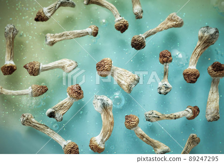 Pattern of psilocybin mushrooms on blue background. Psychedelic magic trip, cosmic consciousness. 89247295