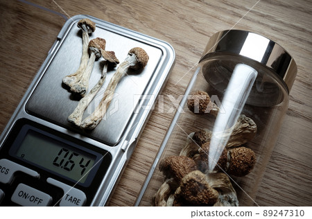 Psychedelic microdosing. Dry psilocybin mushrooms and scales on wooden background Psychedelic microdosing. Dry psilocybin mushrooms and scales on wooden background 89247310