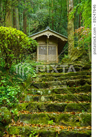 在森林裡的神社 在森林裡的神社 89247646