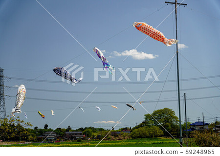 Carp streamer flying in the wind Carp streamer flying in the wind 89248965