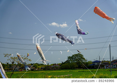 Carp streamer flying in the wind Carp streamer flying in the wind 89248966