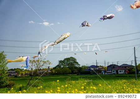 Carp streamer flying in the wind Carp streamer flying in the wind 89249072