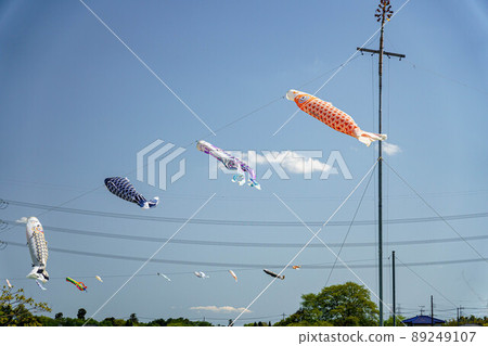 Carp streamer flying in the wind 89249107