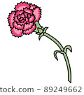 pink carnation 89249662