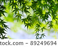 新鮮的綠色季節 89249694