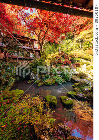 Yanagidani Kannon in Autumn Yangtani Temple (Nagaokakyo City, Kyoto Prefecture) Yanagidani Kannon in Autumn Yangtani Temple (Nagaokakyo City, Kyoto Prefecture) 89250187
