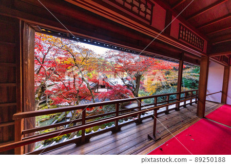 Yanagidani Kannon in Autumn Yangtani Temple (Nagaokakyo City, Kyoto Prefecture) Yanagidani Kannon in Autumn Yangtani Temple (Nagaokakyo City, Kyoto Prefecture) 89250188