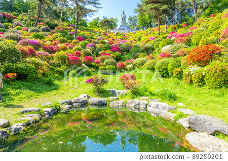 鹽船平和觀音和觀音池 2 鹽船平和觀音和觀音池 2 89250201